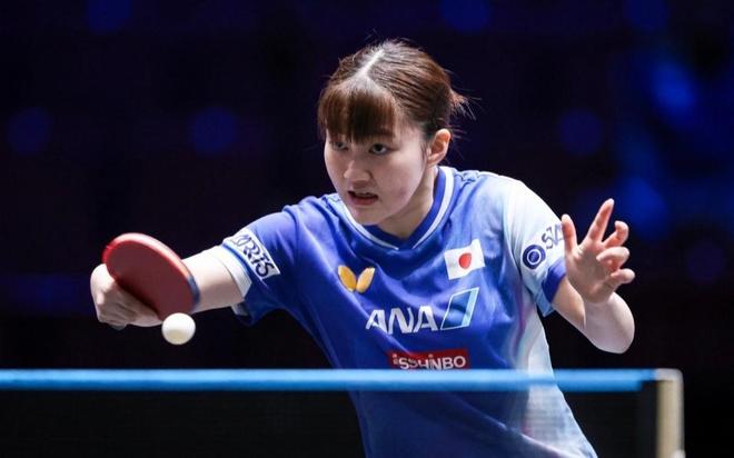 成长可持续 成长可持续