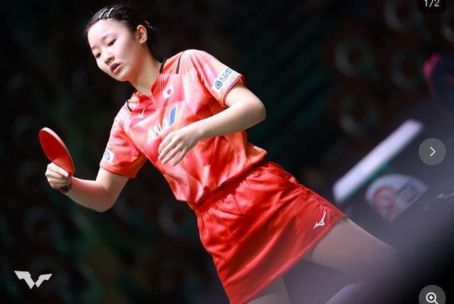 新厄德高 新厄德高